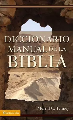 Diccionario Manual De La Biblia cover