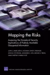 Mapping the Risks cover