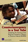 Counterinsurgency in a Test Tube cover