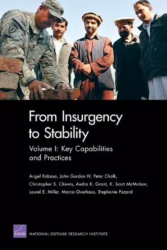 From Insurgency to Stability cover