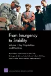 From Insurgency to Stability cover