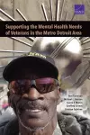 Supporting the Mental Health Needs of Veterans in the Metro Detroit Area cover