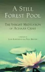 A Still Forest Pool cover