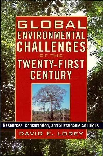 Global Environmental Challenges of the Twenty-First Century cover