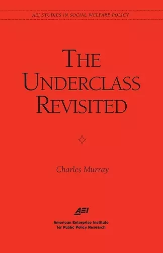 The Underclass Revisited cover