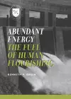 Abundant Energy cover