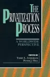 The Privatization Process cover