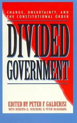 Divided Government cover
