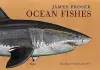 James Prosek: Ocean Fishes cover