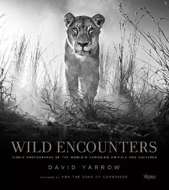 Wild Encounters cover