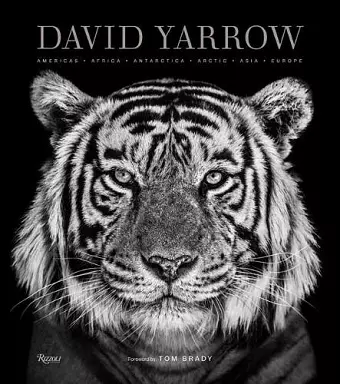 David Yarrow Photography cover