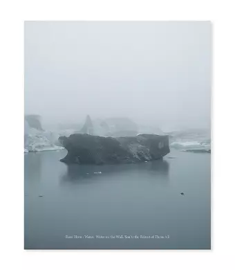 Roni Horn cover