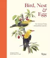 Bird, Nest & Egg cover