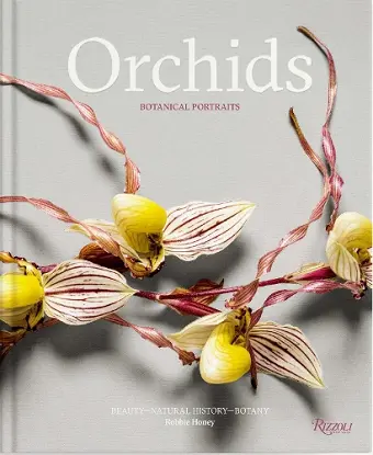Orchids: Botanical Portraits cover