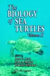 The Biology of Sea Turtles, Volume II cover