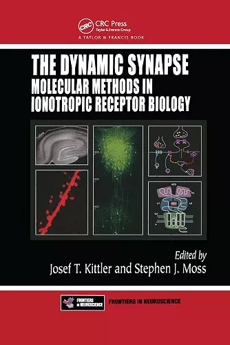 The Dynamic Synapse cover