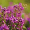 Wildflowers of Cornwall and the Isles of Scilly cover