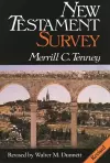 New Testament survey cover