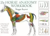 Horse Anatomy Workbook cover