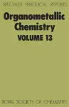 Organometallic Chemistry cover