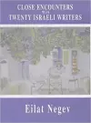 Close Encounters with Twenty Israeli Writers cover