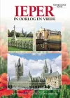 Ypres In War and Peace - Flemish cover