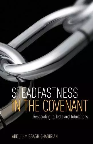 Steadfastness in the Covenant cover