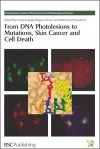 From DNA Photolesions to Mutations, Skin Cancer and Cell Death cover