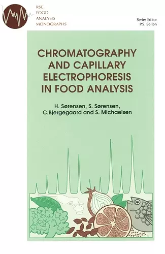 Chromatography and Capillary Electrophoresis in Food Analysis cover