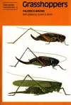 Grasshoppers cover