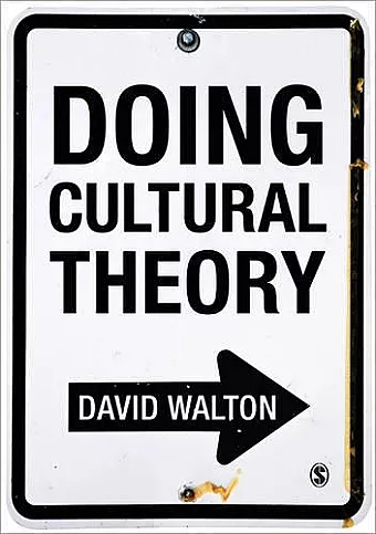 Doing Cultural Theory cover