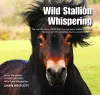 Wild Stallion Whispering cover