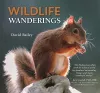 Wildlife Wanderings cover