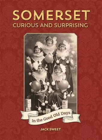 Somerset Curious and Surprising cover