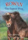 Rowan The Exmoor Pony cover