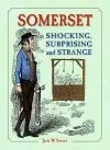 Somerset Shocking, Surprising and Strange cover