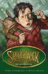 The Seeing Stone cover