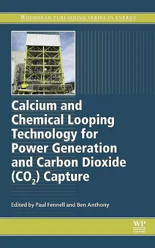 Calcium and Chemical Looping Technology for Power Generation and Carbon Dioxide (CO2) Capture cover