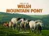 Spirit of the Welsh Mountain Pony cover