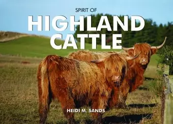 Spirit of Highland Cattle cover