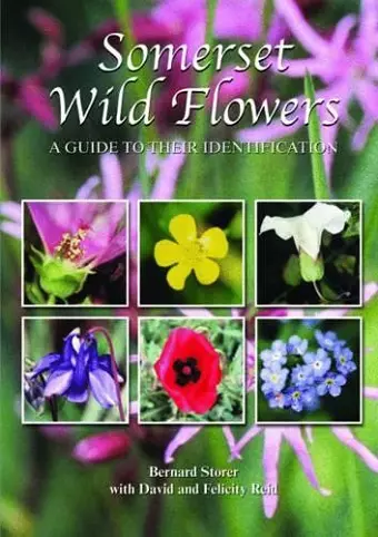 Somerset Wild Flowers cover