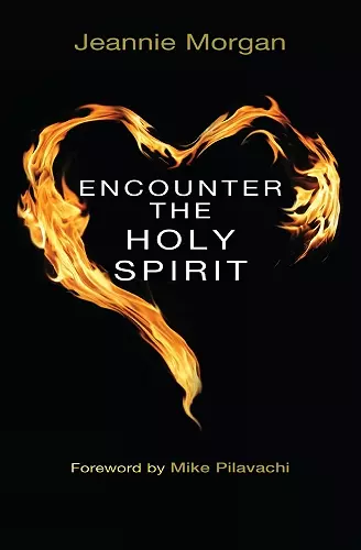 Encounter the Holy Spirit cover