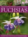Illus Gardener's Guide to Growing Fuchsias cover
