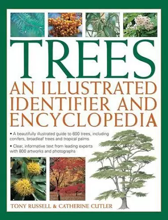 Trees: An Illustrated Identifier and Encyclopedia cover