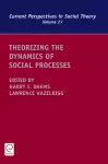 Theorizing the Dynamics of Social Processes cover