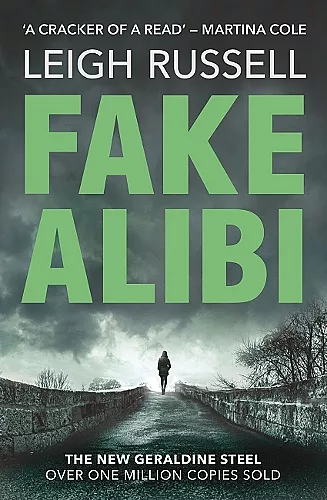 Fake Alibi cover