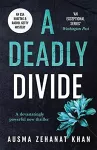 A Deadly Divide cover