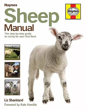 Sheep Manual cover