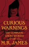 Curious Warnings cover