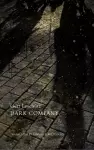 Dark Company cover